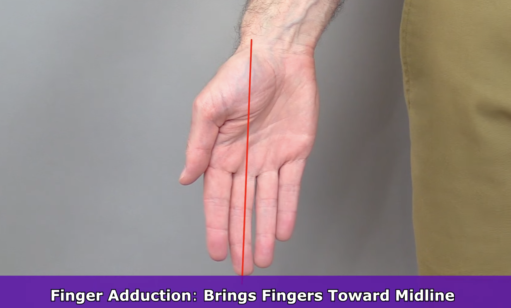 <p>bringing the figures from beings spread to close together toward the midline of the body </p>