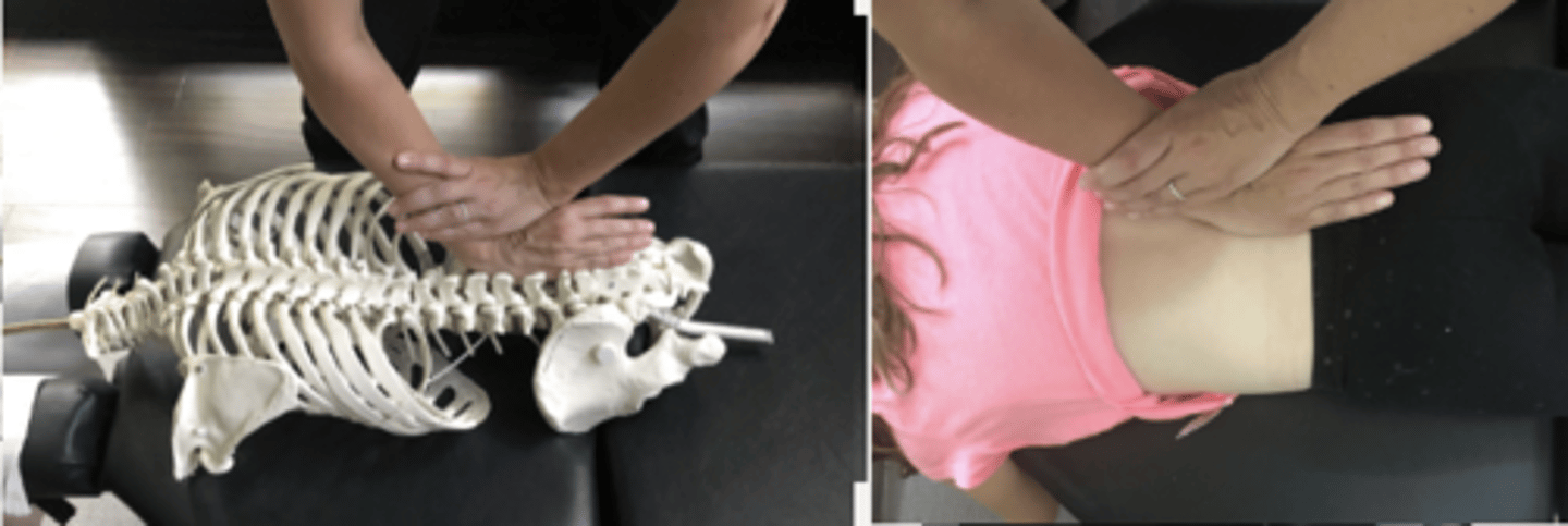 <p>PP: Prone-verbalize how you found the segment</p><p>DP: Square stance on side of contact</p><p>CH: Cephalad (R) hand, hypothenar (pisiform) on L4 MP with fingers running parallel to the spine</p><p>IH: Reinforces in anatomical snuffbox</p><p>LOD: For rot with LF: P-A, S-I</p><p>just rotation: P-A</p>