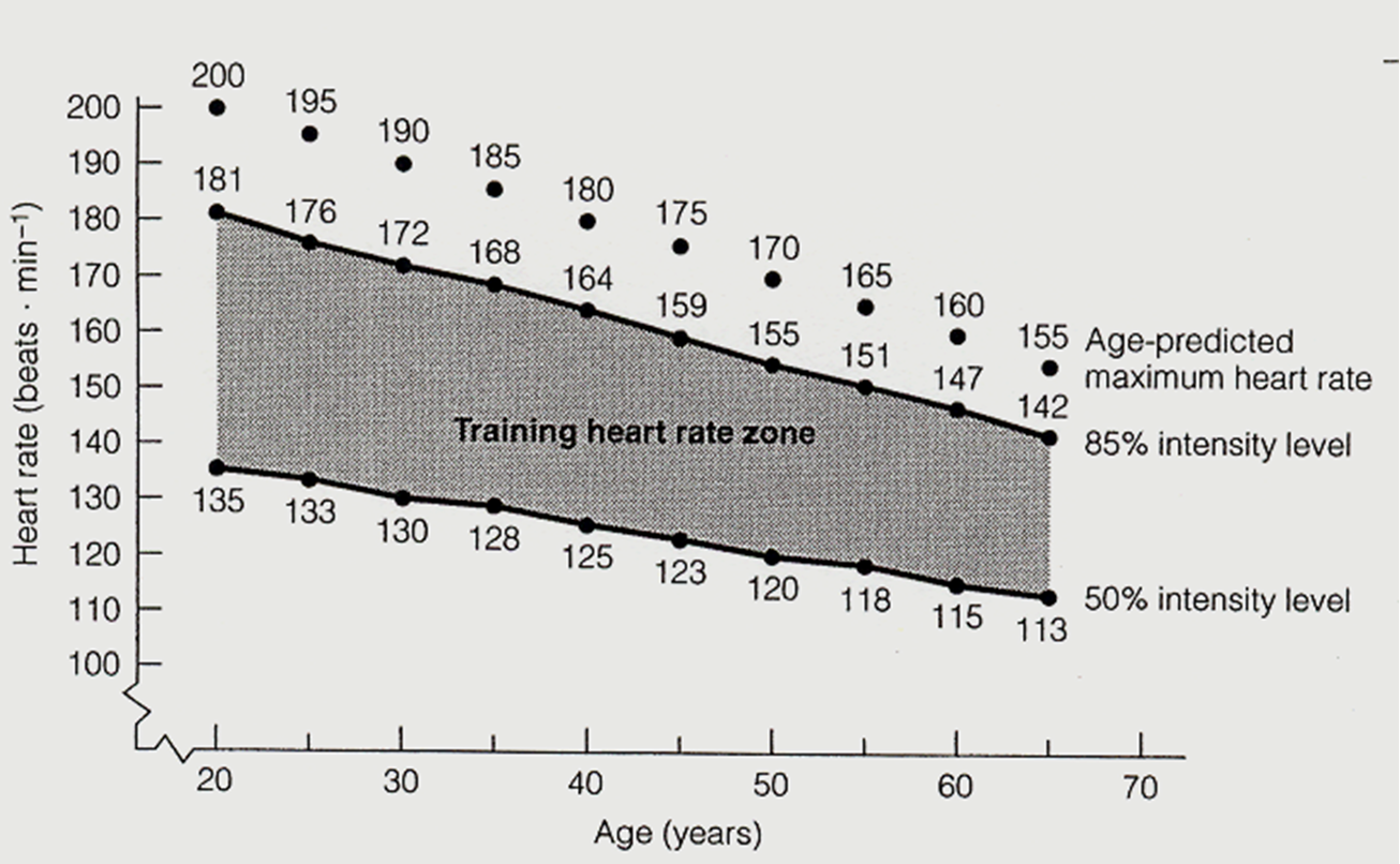 <ul><li><p><span style="background-color: transparent;"><span>220-age not as efficient but works and used in hospitals etc</span></span></p></li><li><p><span style="background-color: transparent;"><span>Strength of the left ventricle declines- can be steep or gradual</span></span></p></li></ul><p></p>