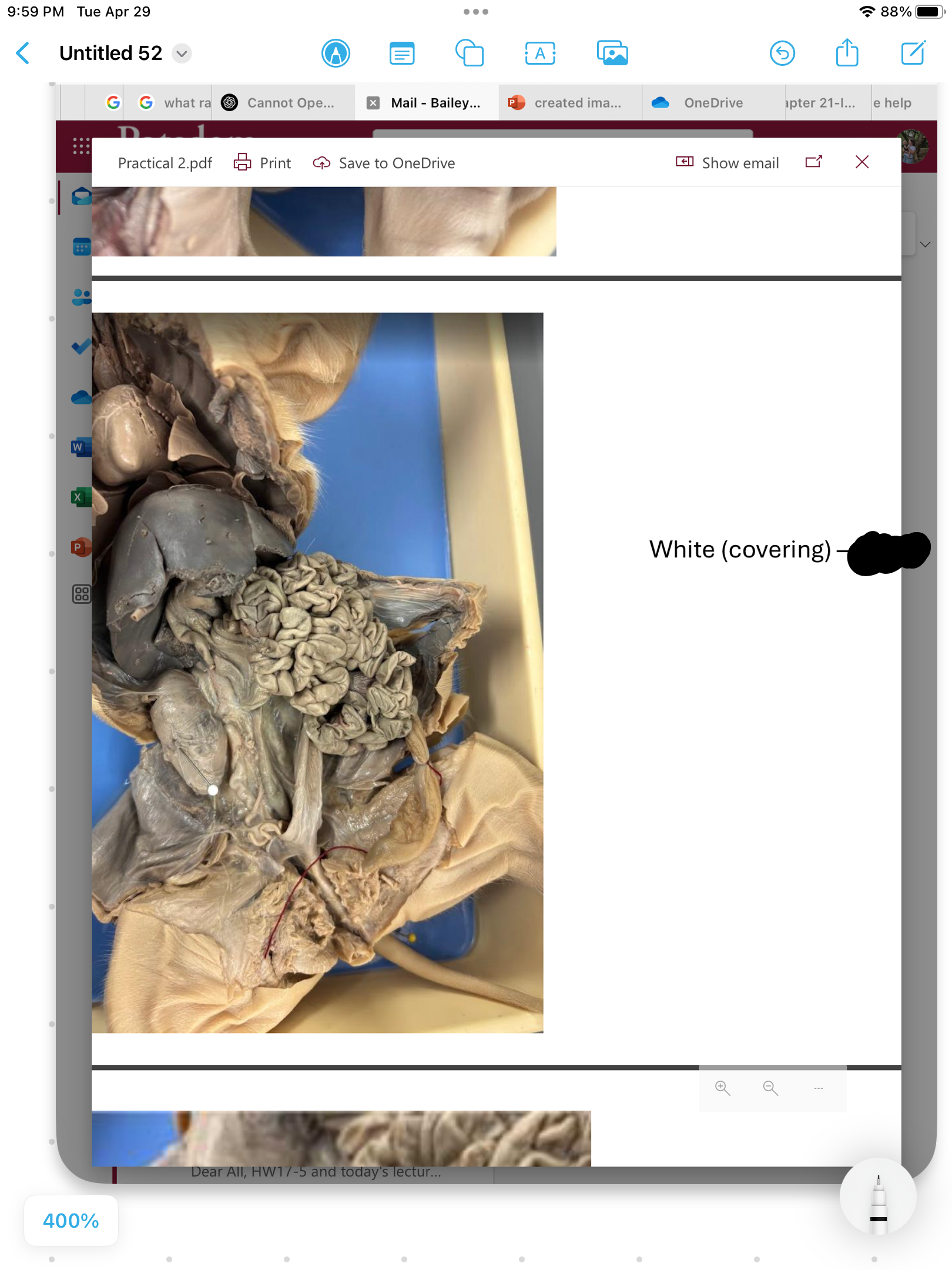 <p>label the area</p>