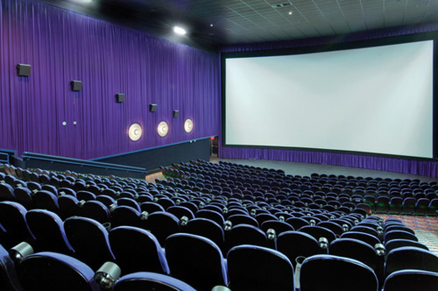 <p>movie theater</p>
