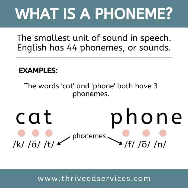 <p>phoneme </p>