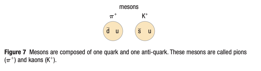 <p>Hadrons composed of just 2 quarks</p>