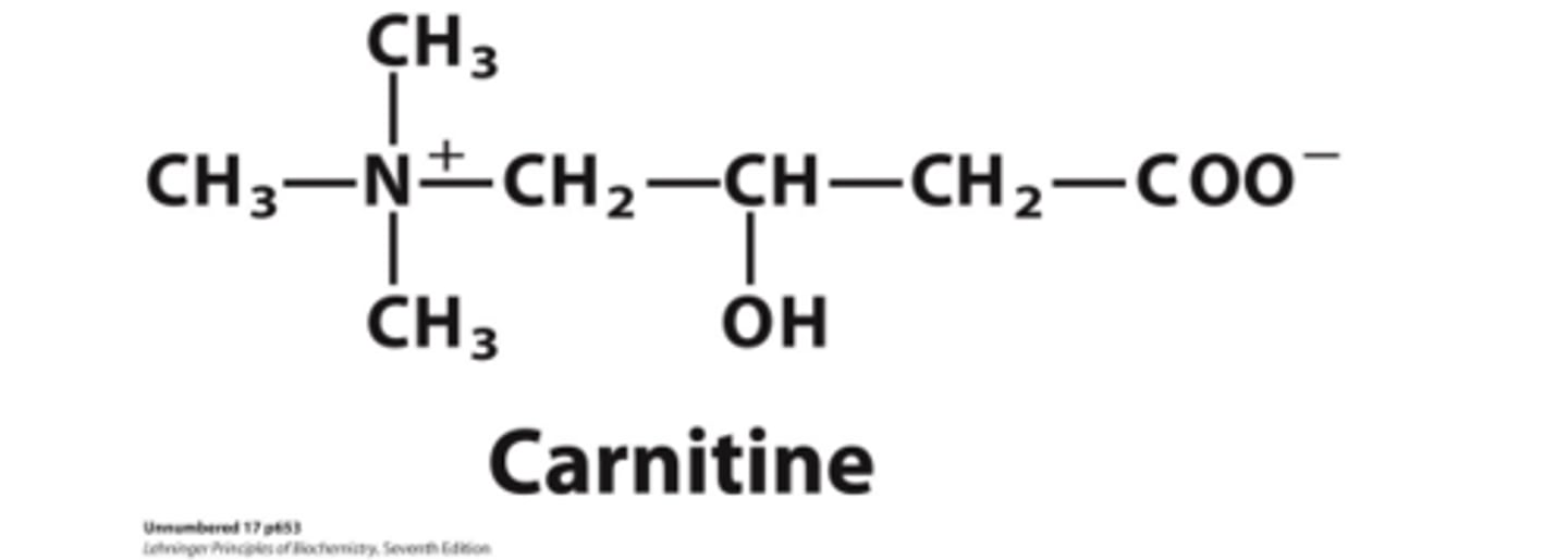 <p>in mitochondria</p>