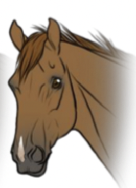 <p>What facial marking is this?</p>