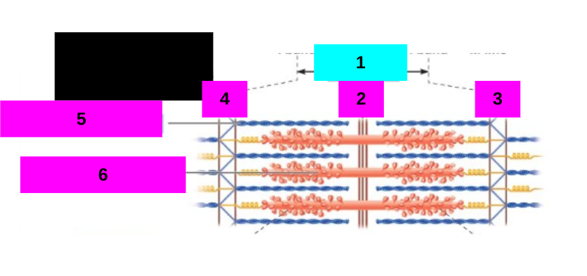 <p>1</p>