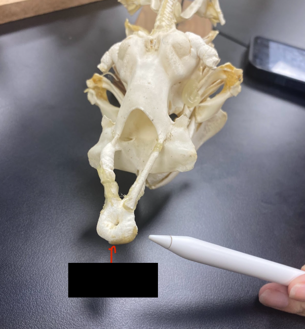 <p>What part is this</p>