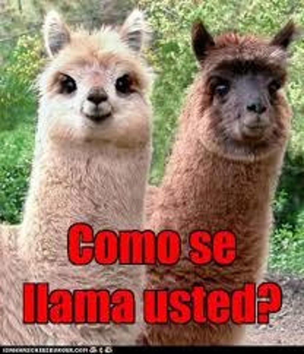 <p>You call yourself... (Ud.)</p>