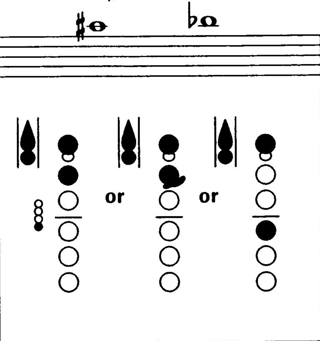 <p>What notes are these?</p>