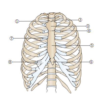 <p>3</p>