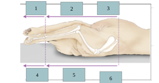<p>3</p>