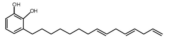 <p>An irritating, oily sap found in poison ivy, poison oak, poison sumac, and mango leaves/stems. It is found in all parts of the plant even when the plant is dead. The compound triggers an allergic reaction when it comes into contact with skin or is inhaled. An allergic reaction to this compound can’t be cured, but its symptoms can be treated with calamine lotion.</p><p>Allergies to this compound occur most commonly during the spring, summer, and early fall. It is easily transferred from one object to another by plant oil, but not spread through blister fluids.</p>