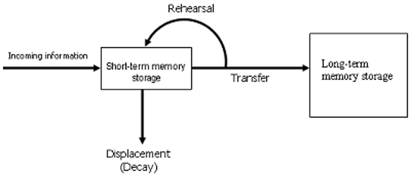 <p>the mental capacity or faculty of retaining and reviving facts, events, impressions, etc., or of recalling or recognizing previous experiences.</p>