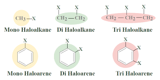 <p>one or more halogen atoms</p>