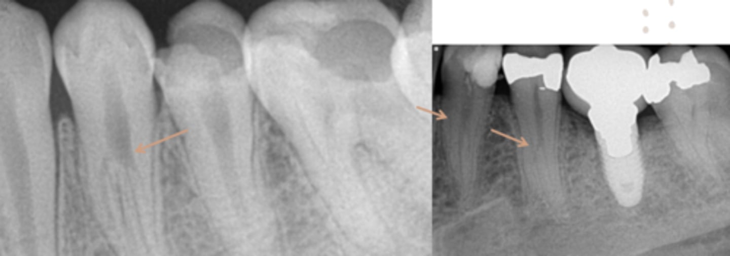 <p>ID the problem:</p>