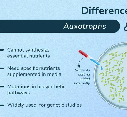 <p> Describes auxotrophic (a mutant microorganism that cannot synthesize a specific, essential nutrient) organisms that must have many growth factors provided.</p>