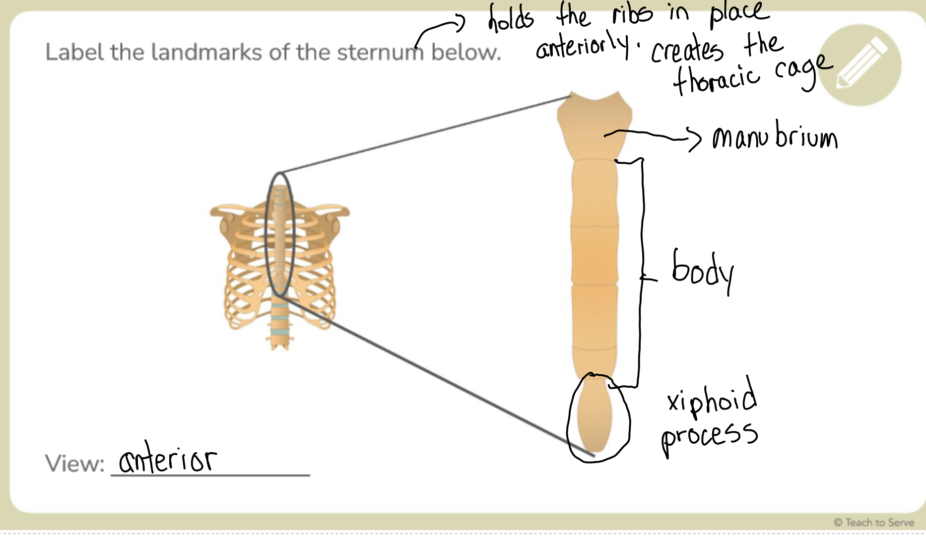 knowt flashcard image