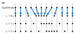 <p>How to determine the shape of the longitudinal wave?</p>