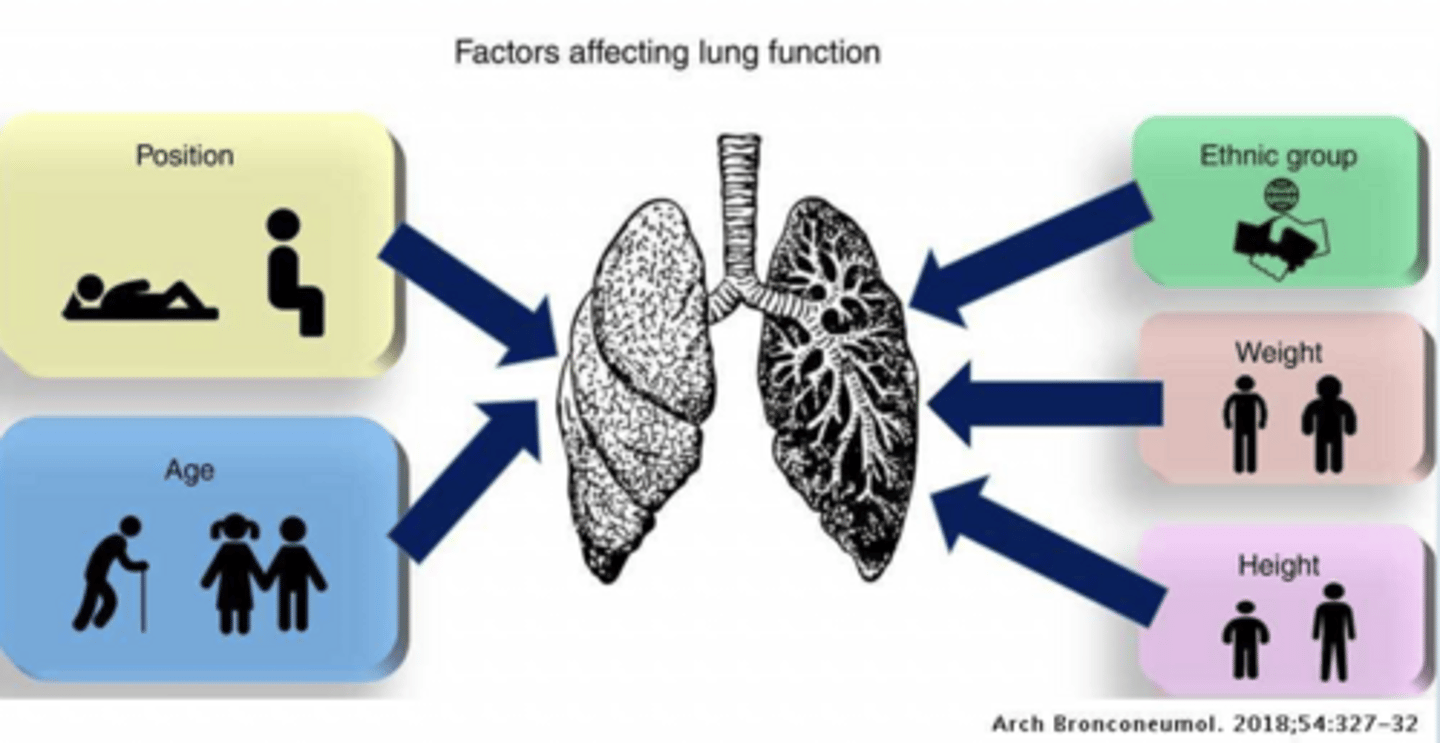 <p>position</p><p>age</p><p>ethnic group</p><p>weight</p><p>height</p>