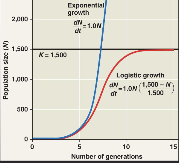 <p>A more realistic population model limits growth by incorporating a carrying capacity</p><ul><li><p>carrying capacity (K) is the maximum population size the environment can support</p></li></ul><p>-the equation is dN/dt=r-maxN (K-N)/K * (=exponential growth x % of carrying capacity remaining)</p>