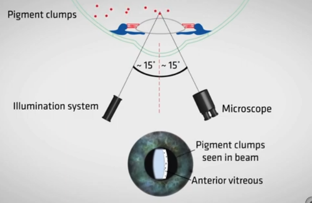 <p>how to conduct&nbsp;</p>