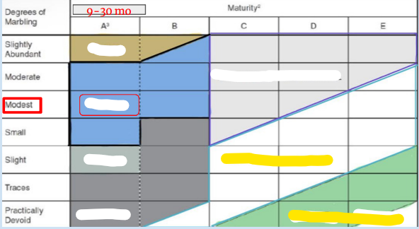<p>Fill in the blanks</p>
