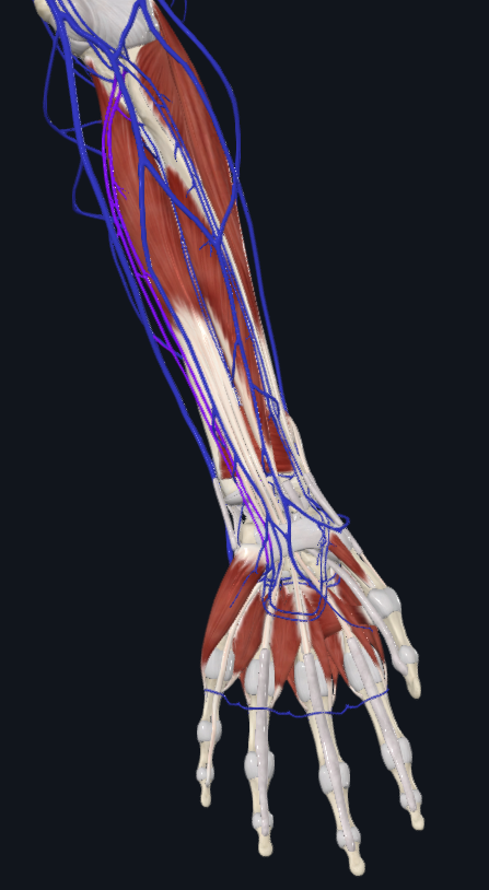 <p>What is highlighted</p>
