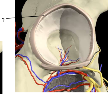 <p>Nom et caractéristiques de ce relief ?</p>