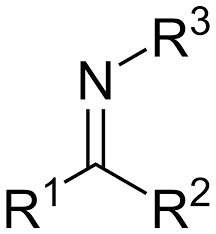 <p>A compound with a nitrogen atom double-bonded to a carbon atom</p>