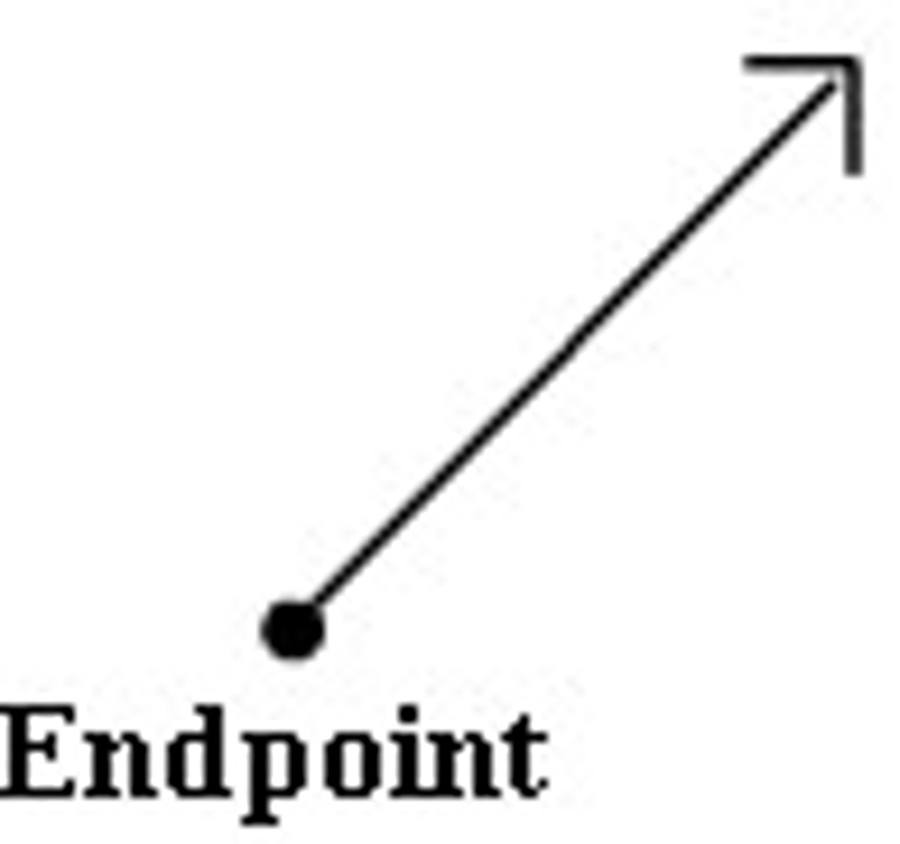 <p>a point at the end of a segment or ray; the segment or ray does not go past this point.</p>