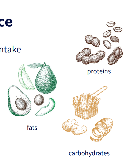 <p>- Macronutrients contribute to energy intake</p><p>- Need to satisfy both energy requirements and other nutritional requirements</p>