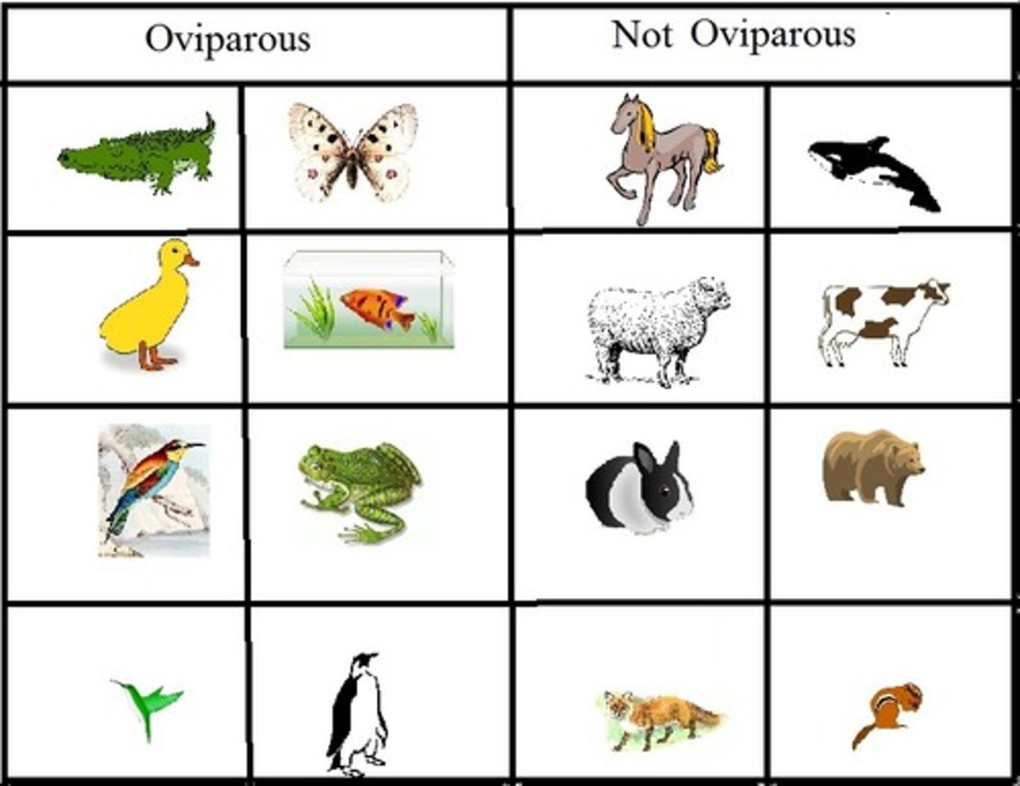 <p>Eggs hatch outside the mother's body (think: ovi=over and out)</p>