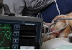 <p>critical condition caused by inadequate tissue perfusion → cell and organ dysfunction</p>
