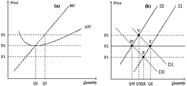 Assume that the market starts in equilibrium at point W in panel (b). An increase in demand from D0 to D1 will result in