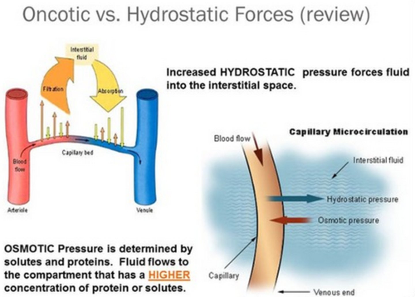 <p>-Pressure from the surge of blood every time the heart contracts</p>