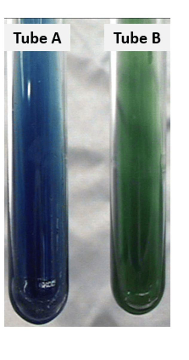 <p>both</p>