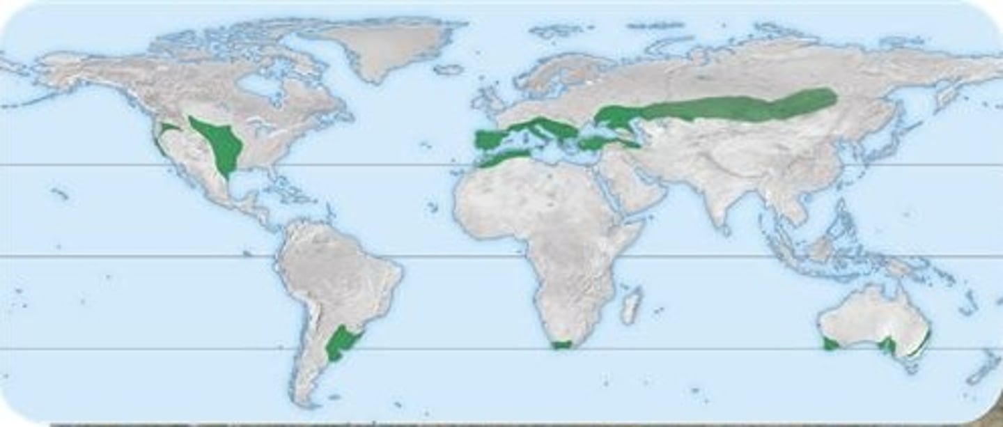 <p>30-40ºN; mid-continent</p>