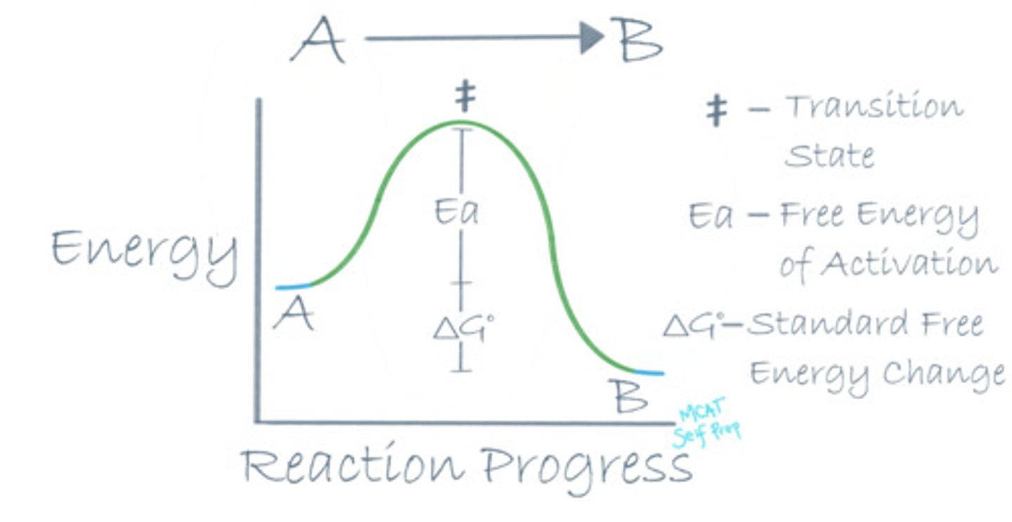 <p>(B) II Only</p><p>The free energy of activation (Ea) relates to the speed of a reaction. ΔG° does not!</p>