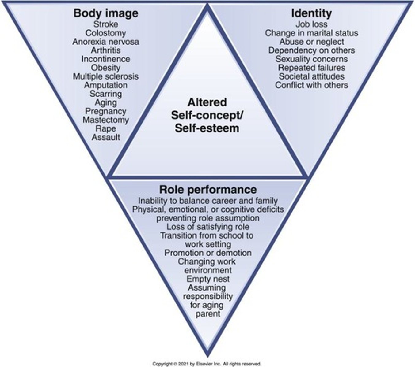 <p>Sense of competency, perceived reactions of others to one's body, personal and professional relationships, academic and employment-related identity, personality characteristics, socioeconomic status, mastery of prior and new experiences, cultural identity.</p>