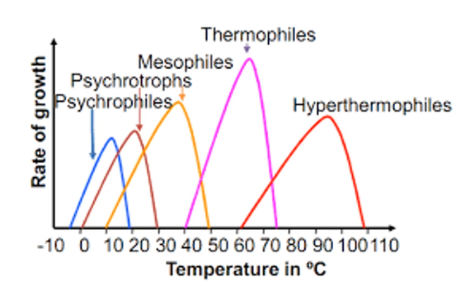 <p>What are some thermal classifications of bacteria?</p>