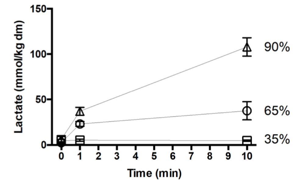 <p>Lactate cannot cause fatigue, H+ causes fatigue</p><p></p><p>Signal: ATP demand &gt; aerobic metabolism ATP supply</p><p></p><p>Lactate increases to a certain point then remains constant because lactate starts to get converted to pyruvate</p>