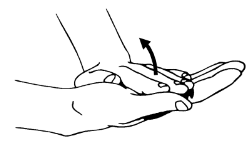 <p>This isometric wrist exercise is called what?</p>