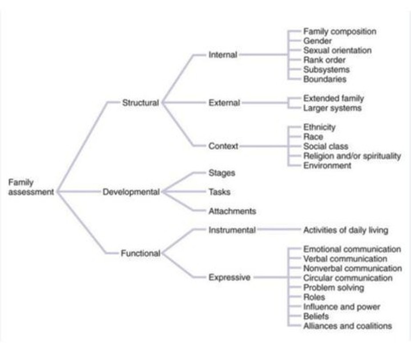 <p>A framework that helps nurses assess families from multiple perspectives, including phenomenological, sociopolitical, spiritual, and socioecological.</p>