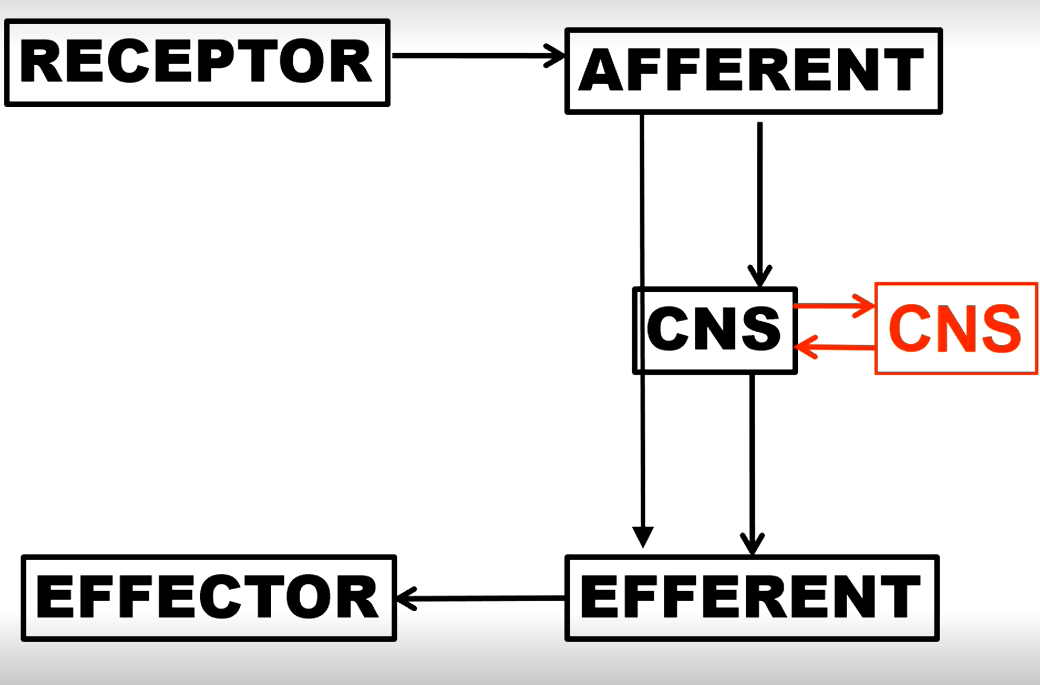 <p>Func</p>