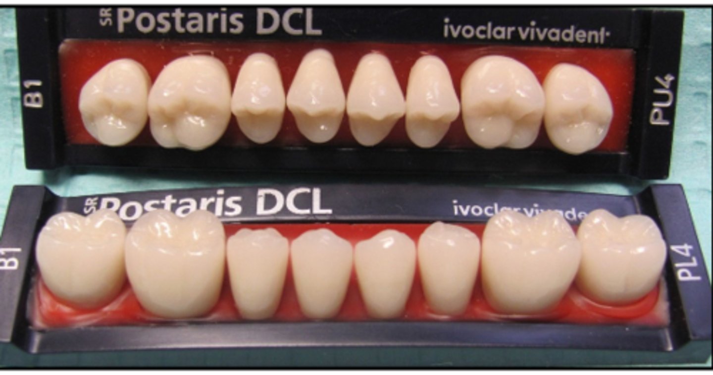 <p>Are these monoplane or anatomic posterior denture teeth?</p>