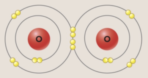 <p>sharing two pairs of electrons between two atoms</p>