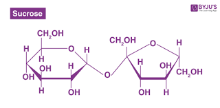 <p>Glucose + Fructose </p>