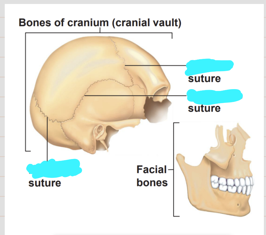 <p>What are the names of these 3 structures</p>
