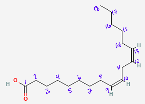 <p>What is the omega nomenclature?</p><p>Delta Nomenclature?</p><p>Name of fatty acid?</p>