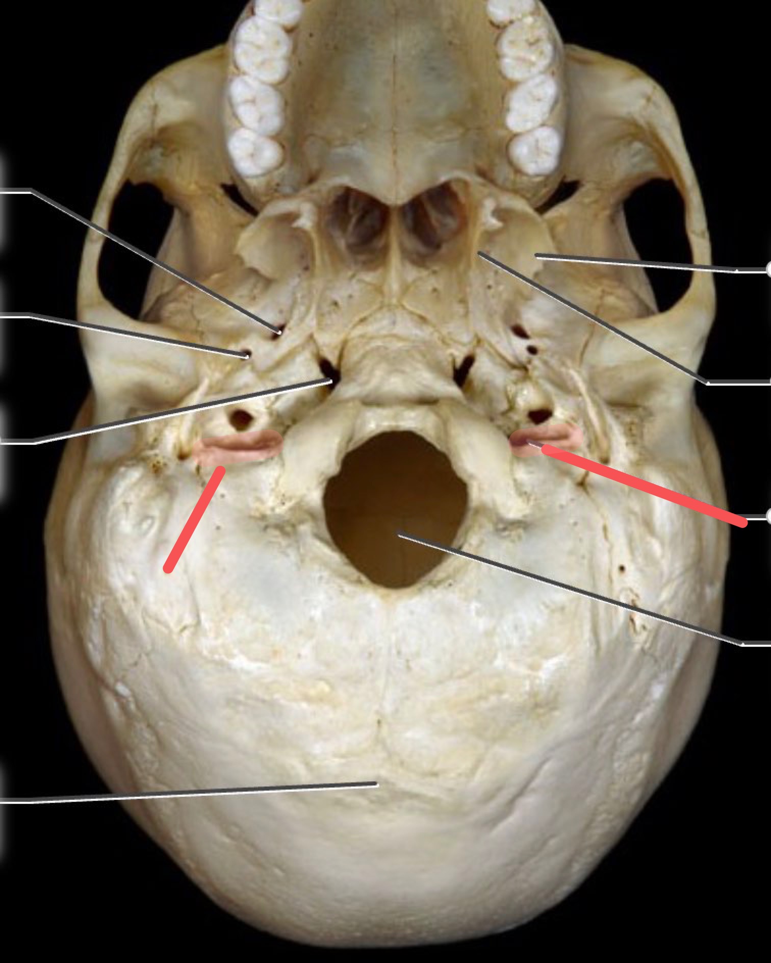 <p>ID feature</p>